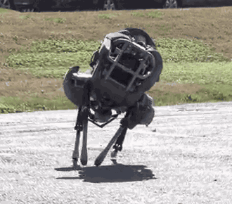 boston robotics dog robot