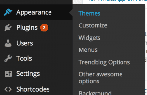 wordpress theme settings