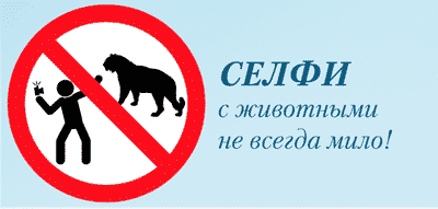 Russia s Ministry of Internal Affairs  Guide to Surviving a Selfie - 40