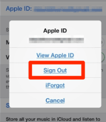 How to remove someone else s Apple ID on your iPhone - 49