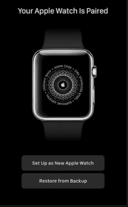 How to reset your Apple Watch and pair it with the new Apple phone - 70