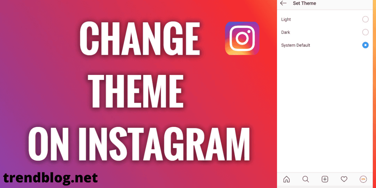  How to Change Theme on Instagram?: A 2-way Guide to Boost Your Knowledge