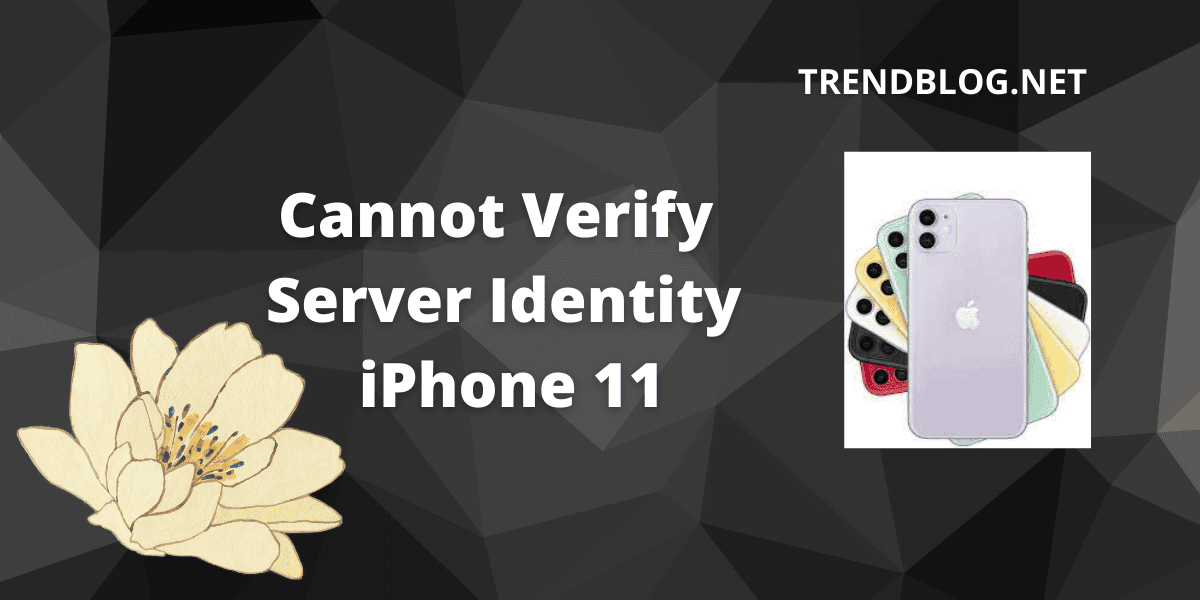 Cannnot Verify Server Identity iPhone 11