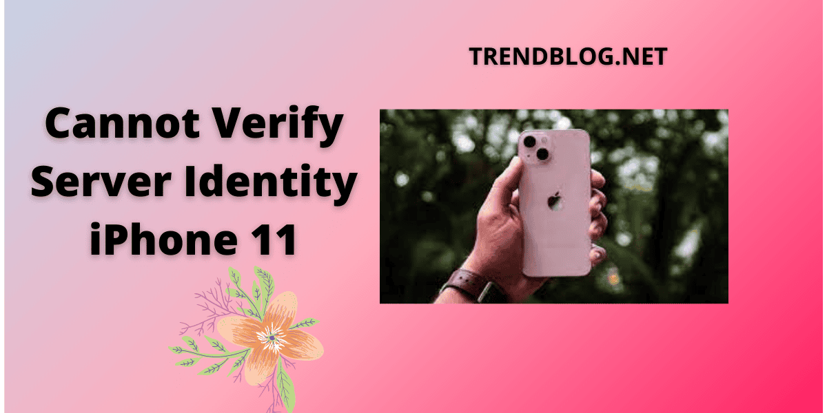 Cannot Verify Server Identity iPhone 11