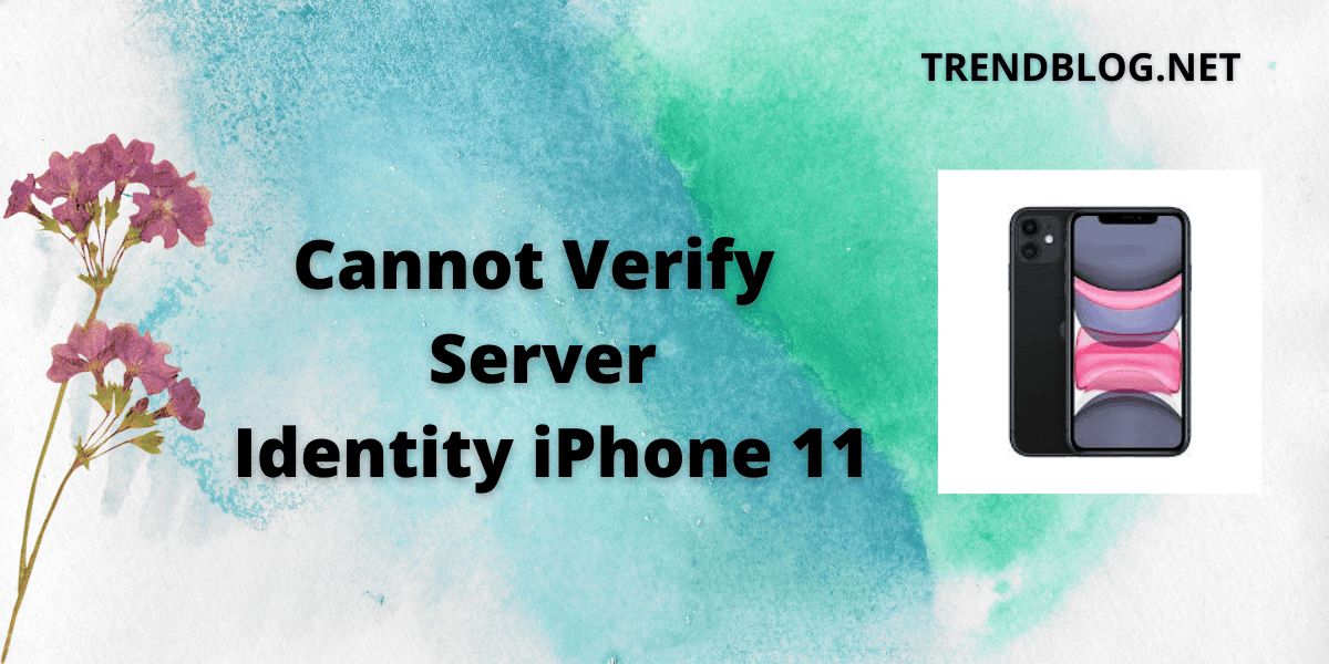 Cannot Verify Server Identity iPhone 11