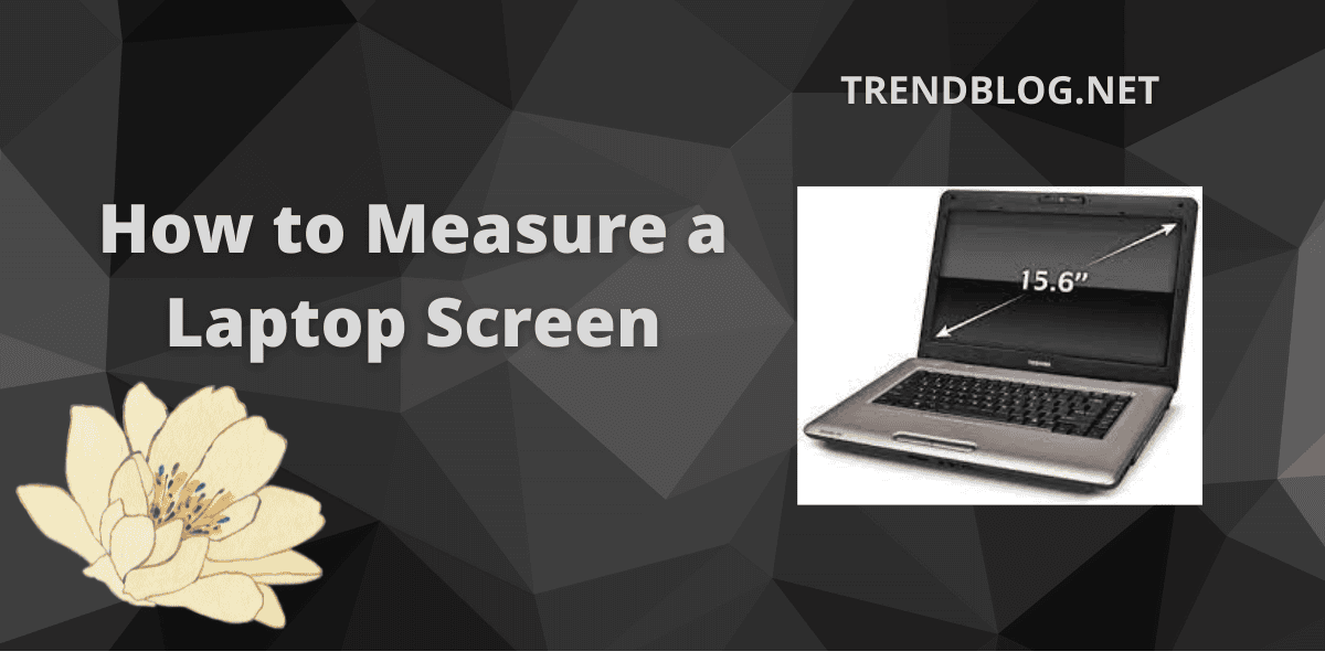 Here Are Some Basic Ways To How To Measure A Laptop Screen Faster 4085