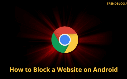 How to Block a Website on Android | Best Method (2022)