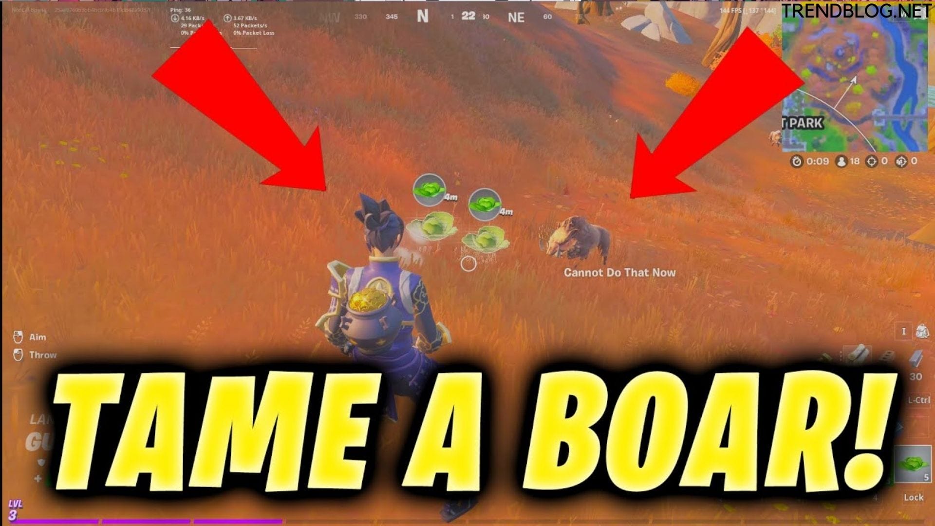  In Fortnite, How Can You Tame a Boar?