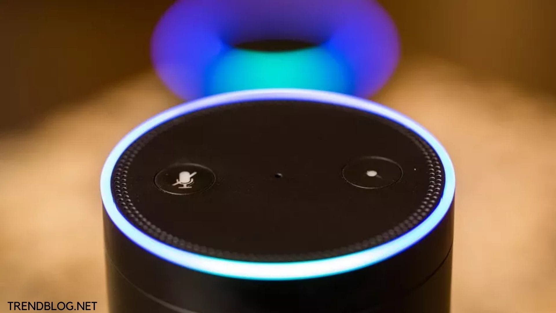  How to Connect Alexa to Bluetooth: Latest Updated: Within 10 Minutes