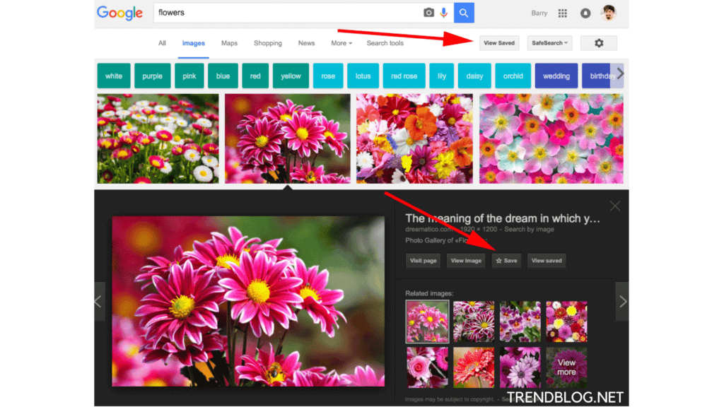 How to Save a Picture From Google 