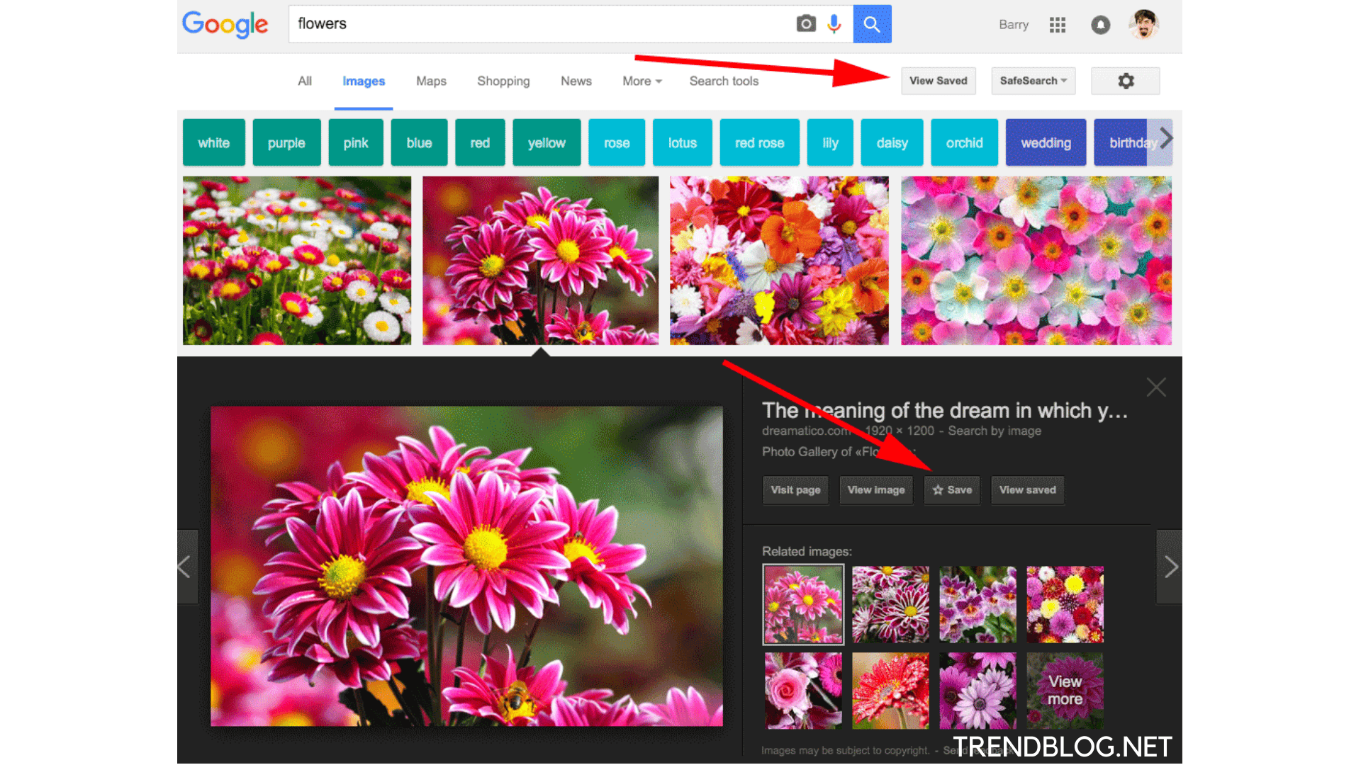  How to Save a Picture From Google Using Drag & Drop Method