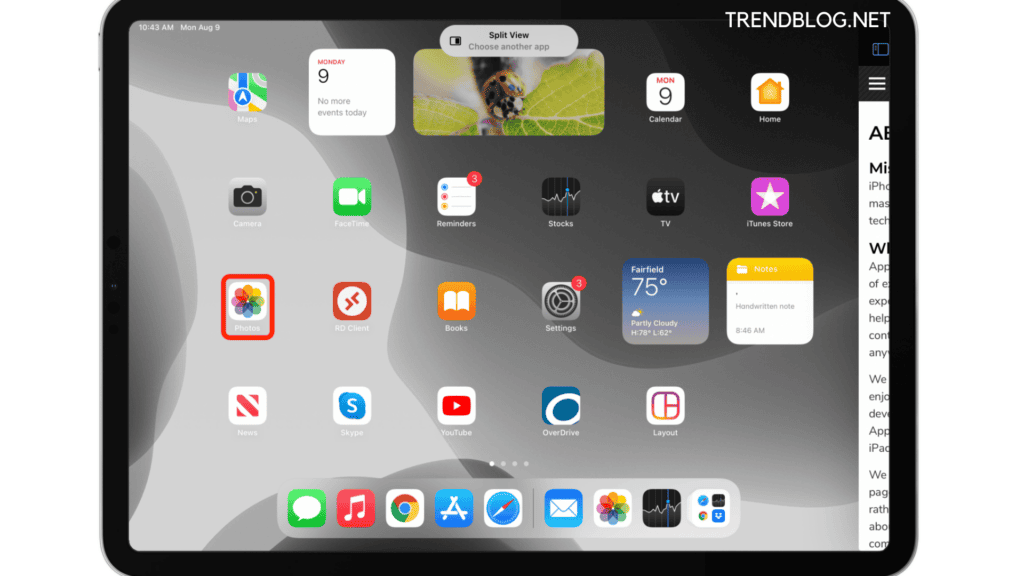 How to Use the Dock to Invoke the Split View