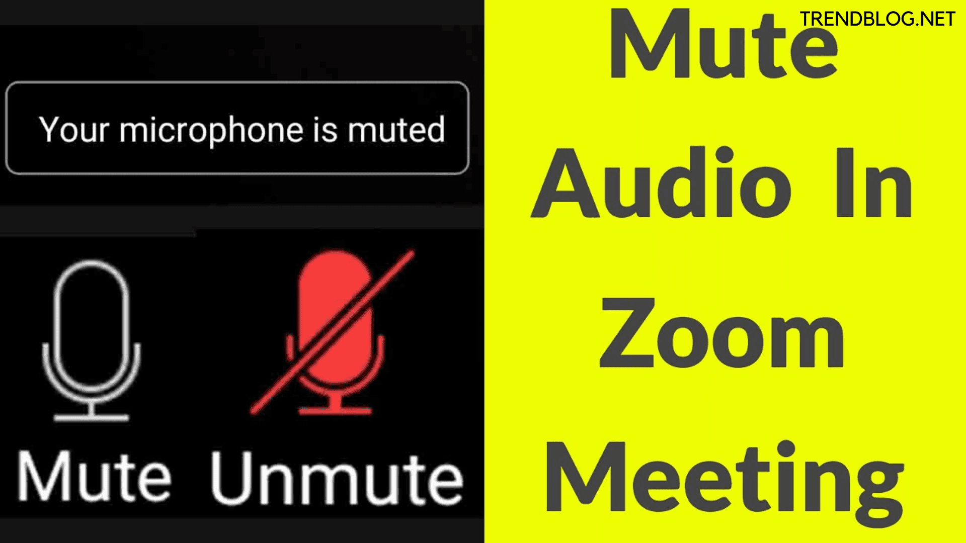  How to Unmute a Zoom Phone Call