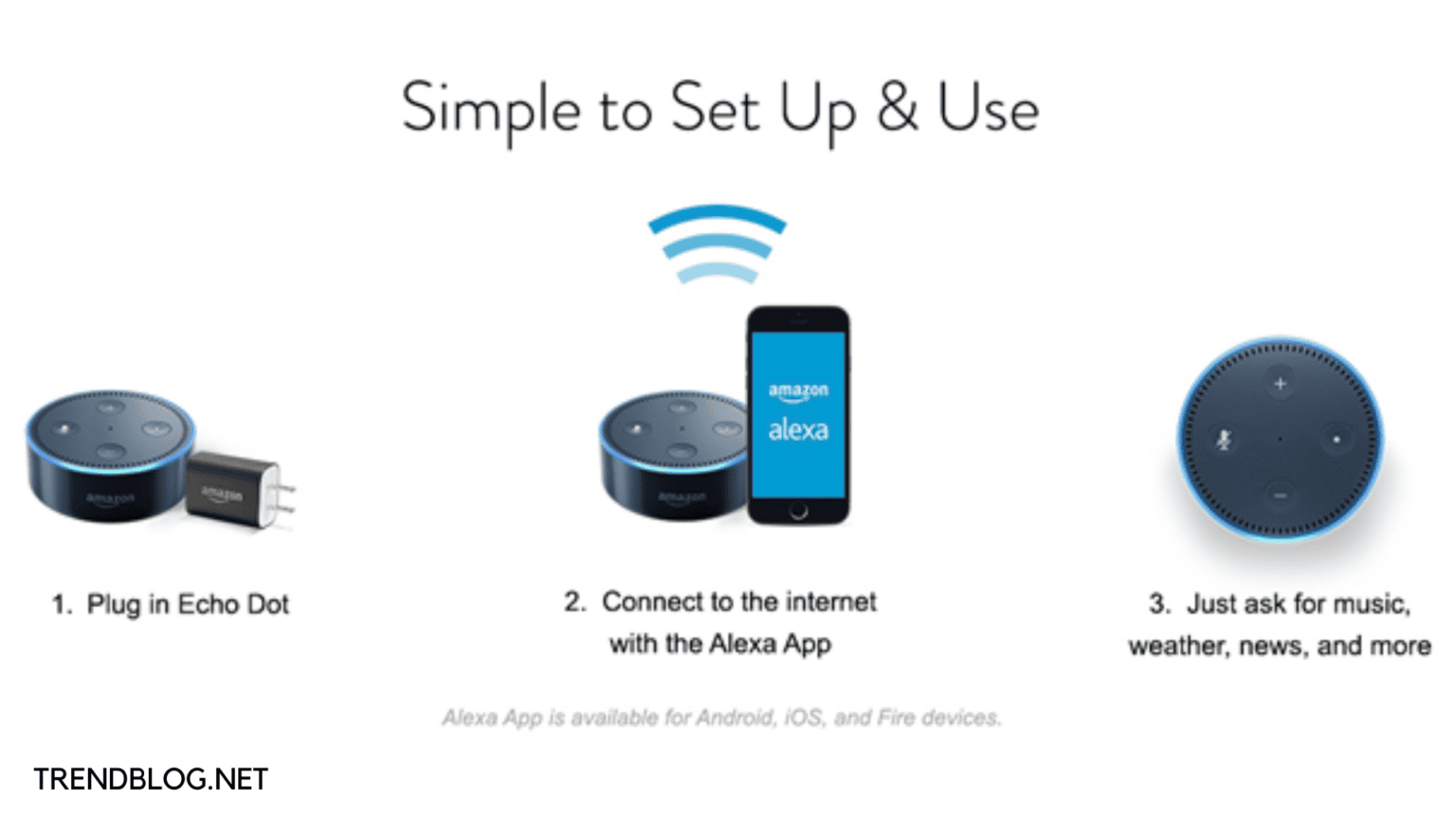 How to Set Up Alexa Echo With Simple & Easy Tricks
