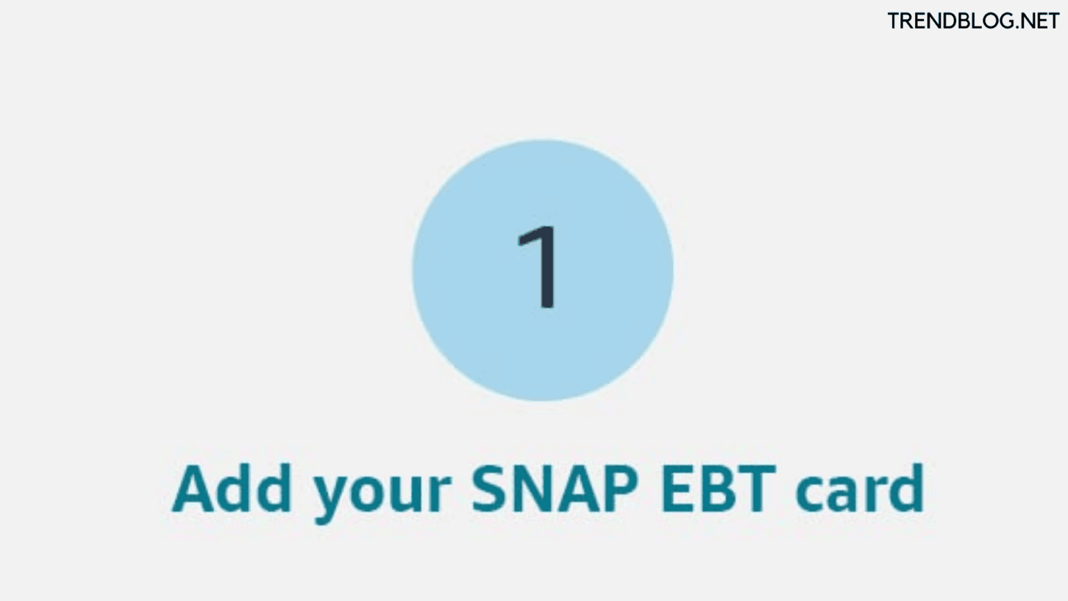 How to Use EBT on Amazon Within Simple, Easy & Quick Steps