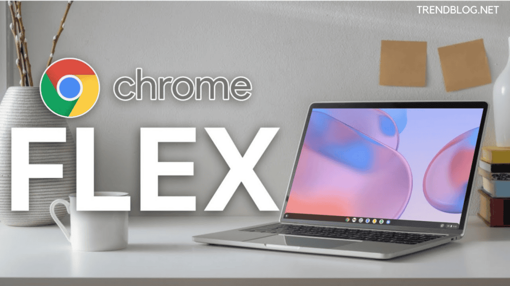 how to install chrome os flex