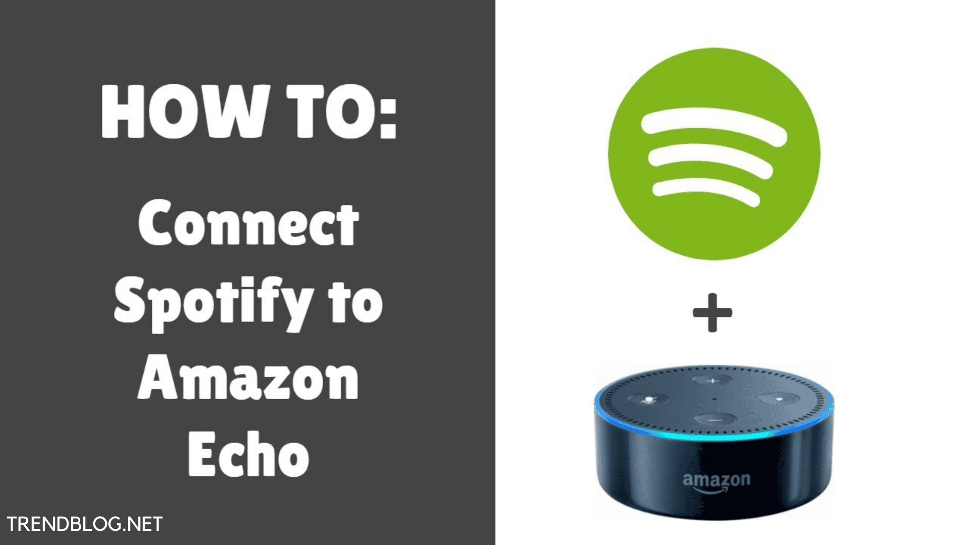  How to Connect Spotify on your Amazon Alexa