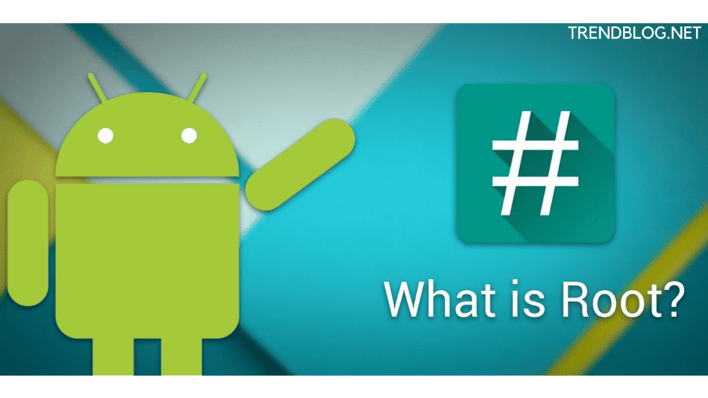 WHAT IS ROOT