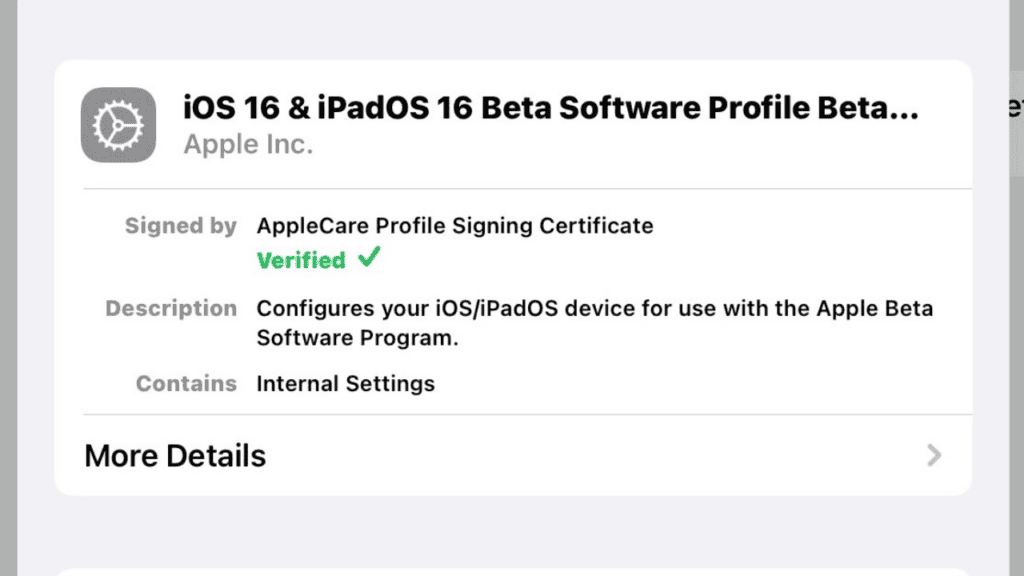 How to Install iOS 16 and iPadOS 16 Beta
