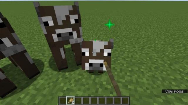 How to Breed Cows in Minecraft (Easy Guide)