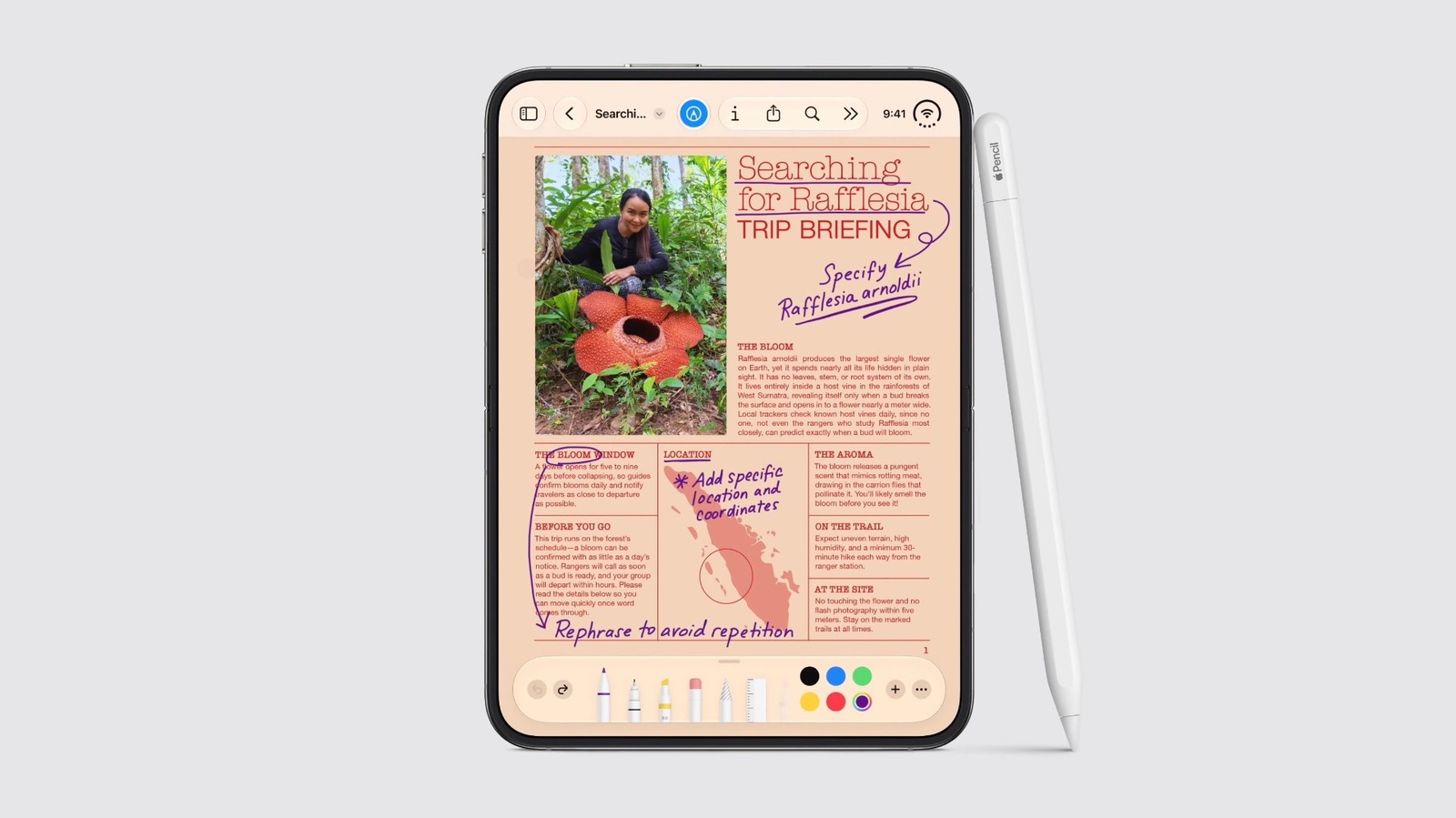 Apple Pencil iPhone Duo Support Arrives in November for $79 USB-C Model